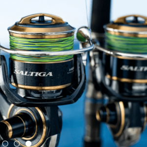 Daiwa Saltiga