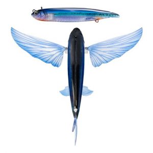 Nomad Flying Fish 140 Electric